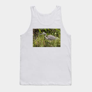 A Great Blue Heron fishing - Mud Lake, Ottawa, Canada Tank Top